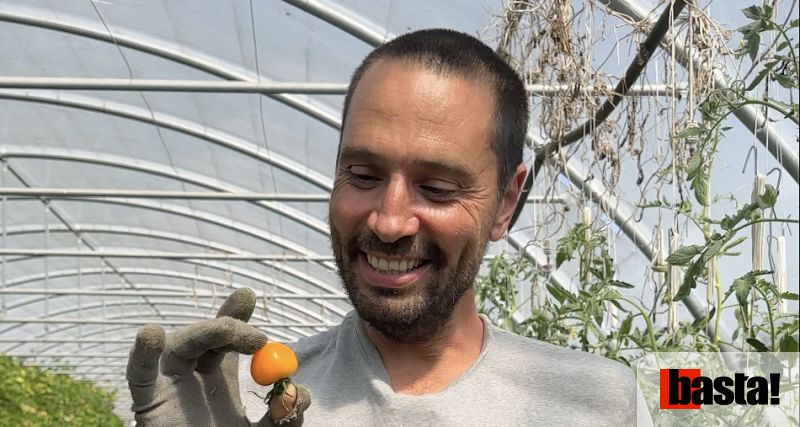 Agriculture : loi d'urgence agricole et canicules, un danger pour les fermes