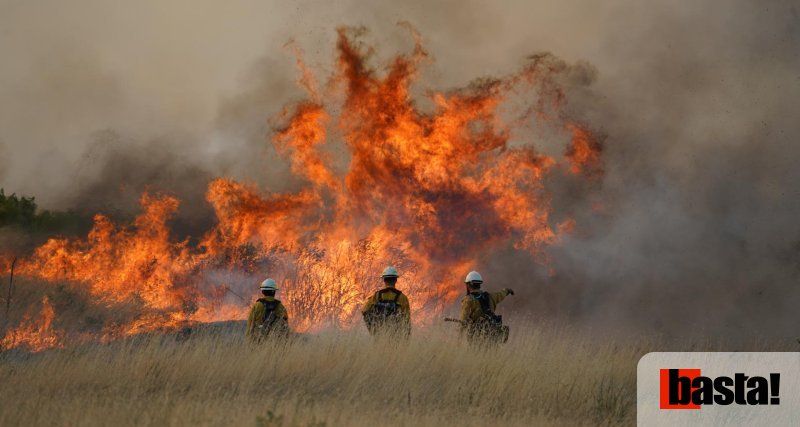 Feux, déni climatique et gouvernements pyromanes : alerte rouge partout dans le monde
