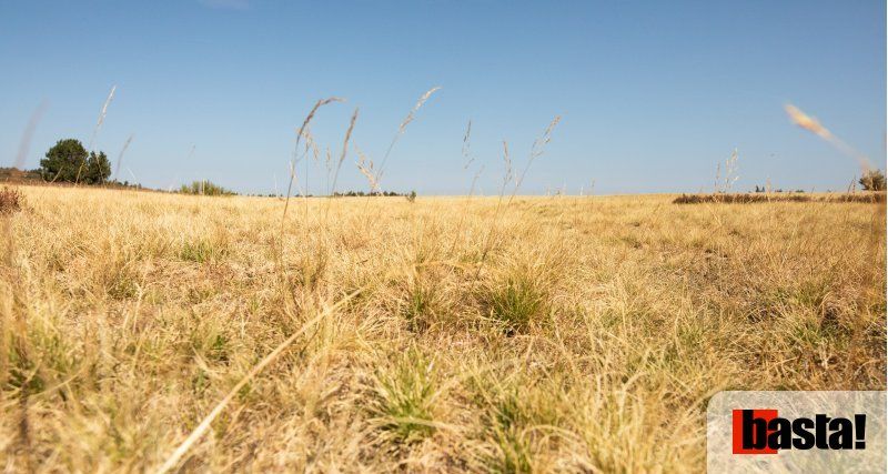 « Le réchauffement va trop vite » : l'appel d'un jeune paysan pour un grand plan agroécologique