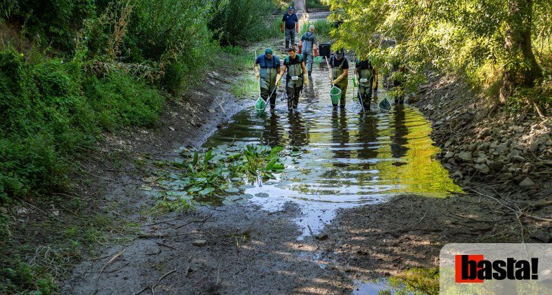 Sécheresse : « Des risques de rupture d'eau potable à l'échelle d'un département, je n'avais jamais vu ça »